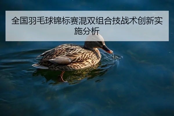 全国羽毛球锦标赛混双组合技战术创新实施分析